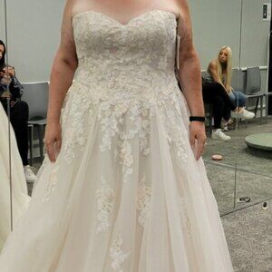 Wedding Dress ans Veil